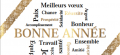 20250118 voeux m le maire