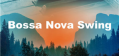 20250329 bossa swing
