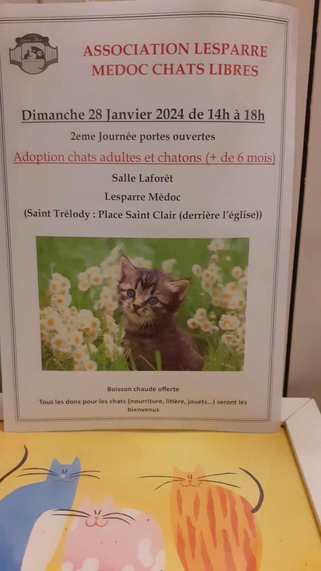 28 01 lesparre
