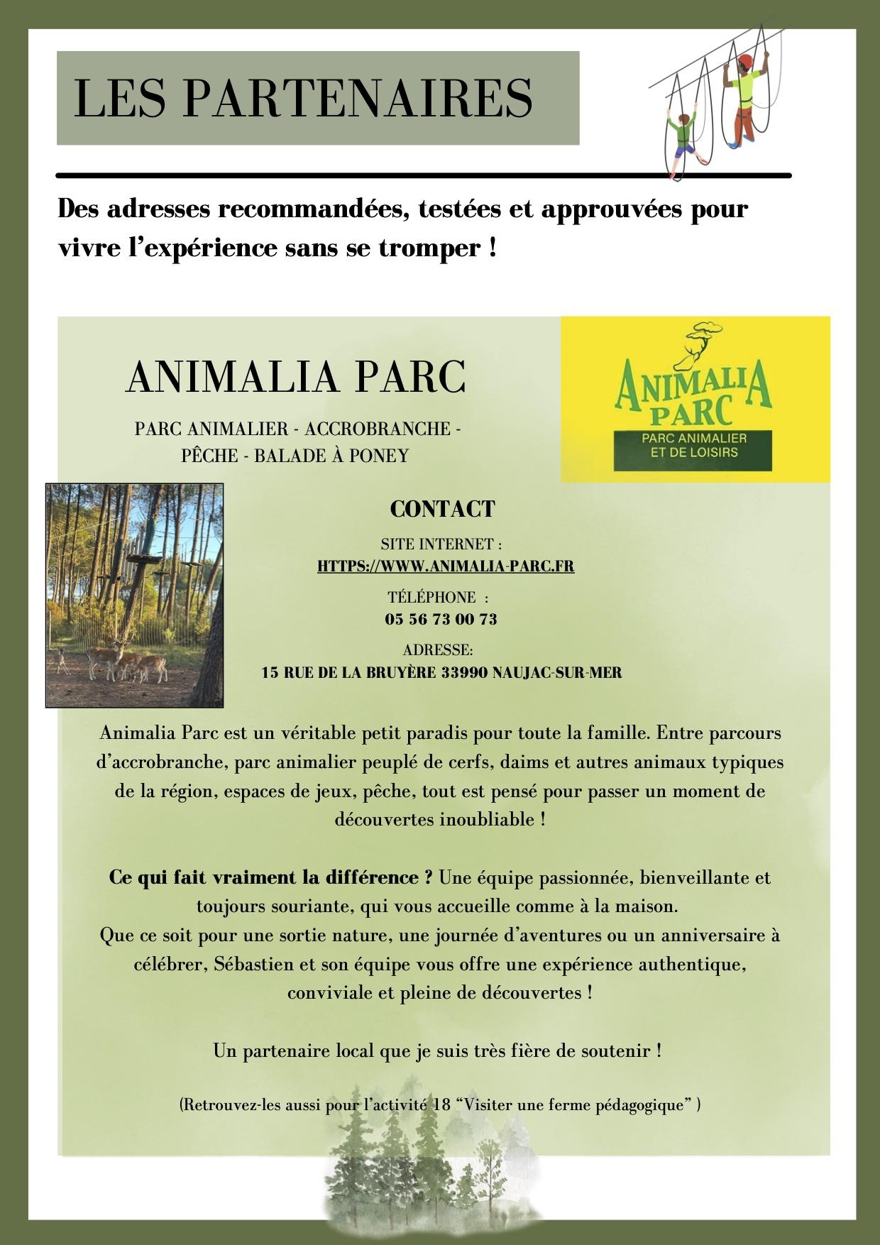 Accrobranche 2