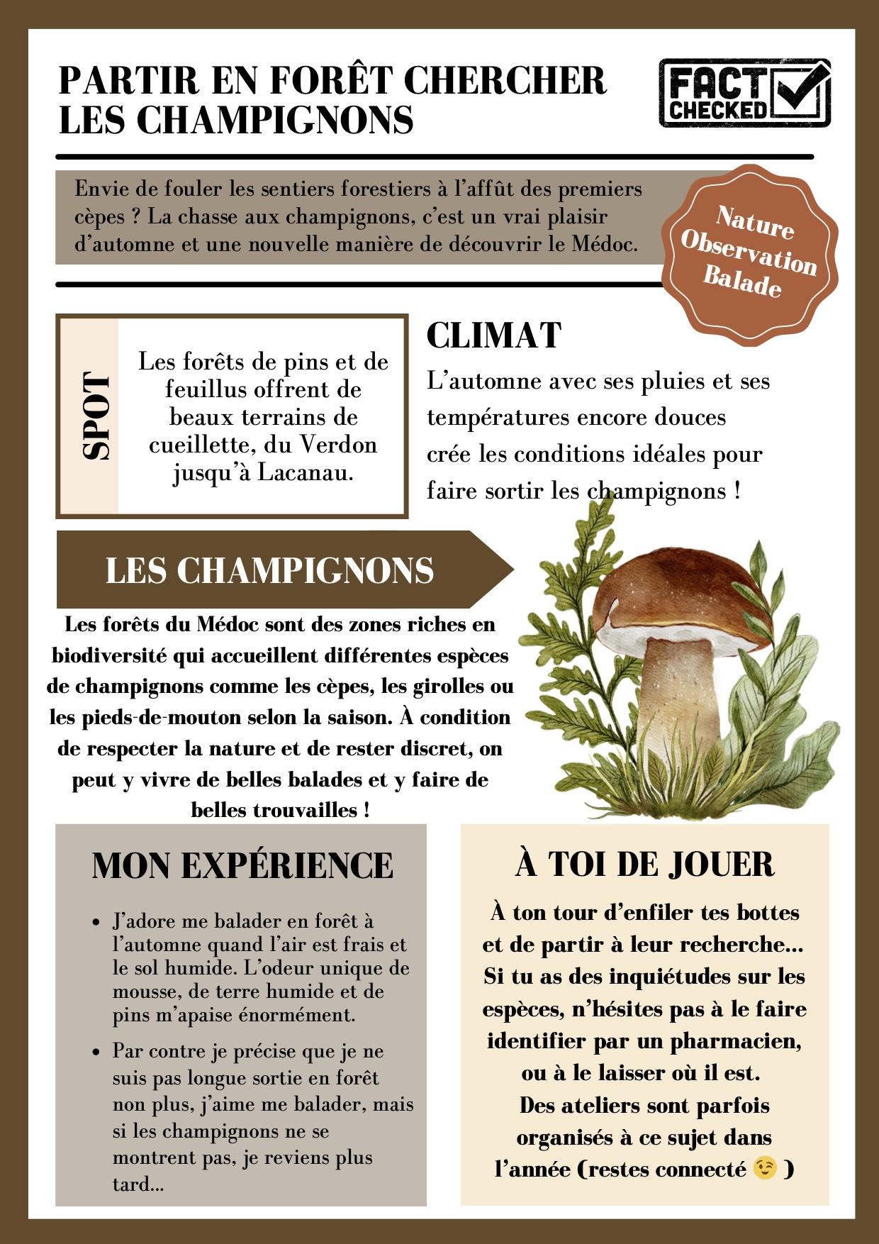 Champignons 2