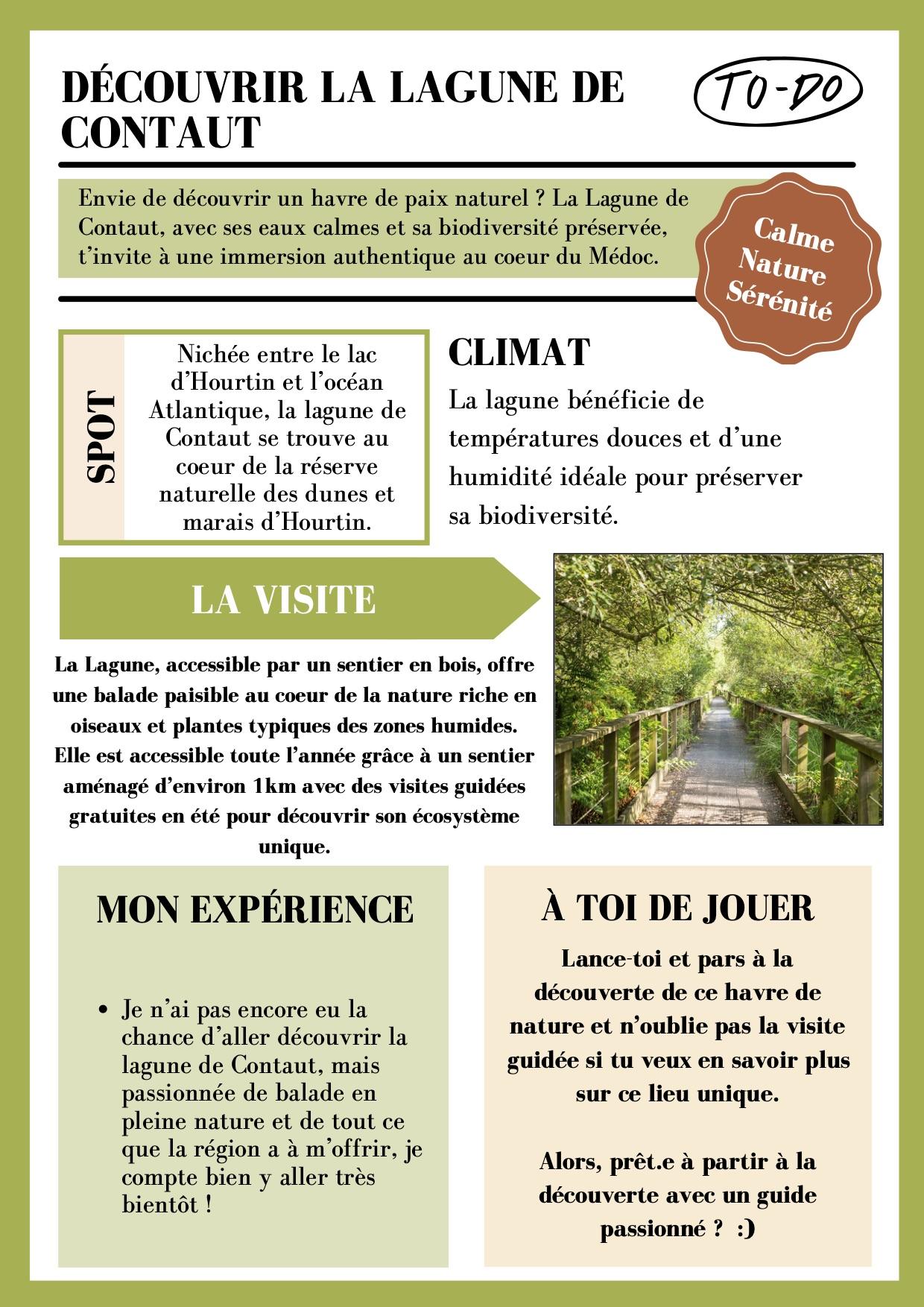 Contaut 2