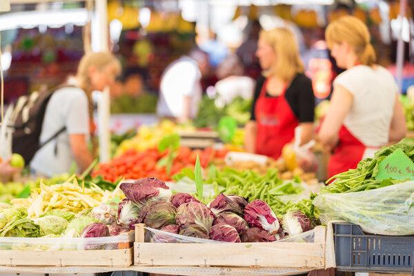 Depositphotos 52396519 stock photo farmers market stall