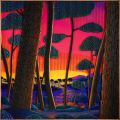 Laurent vismes landes 600x600