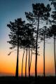Phivignes2 420x630