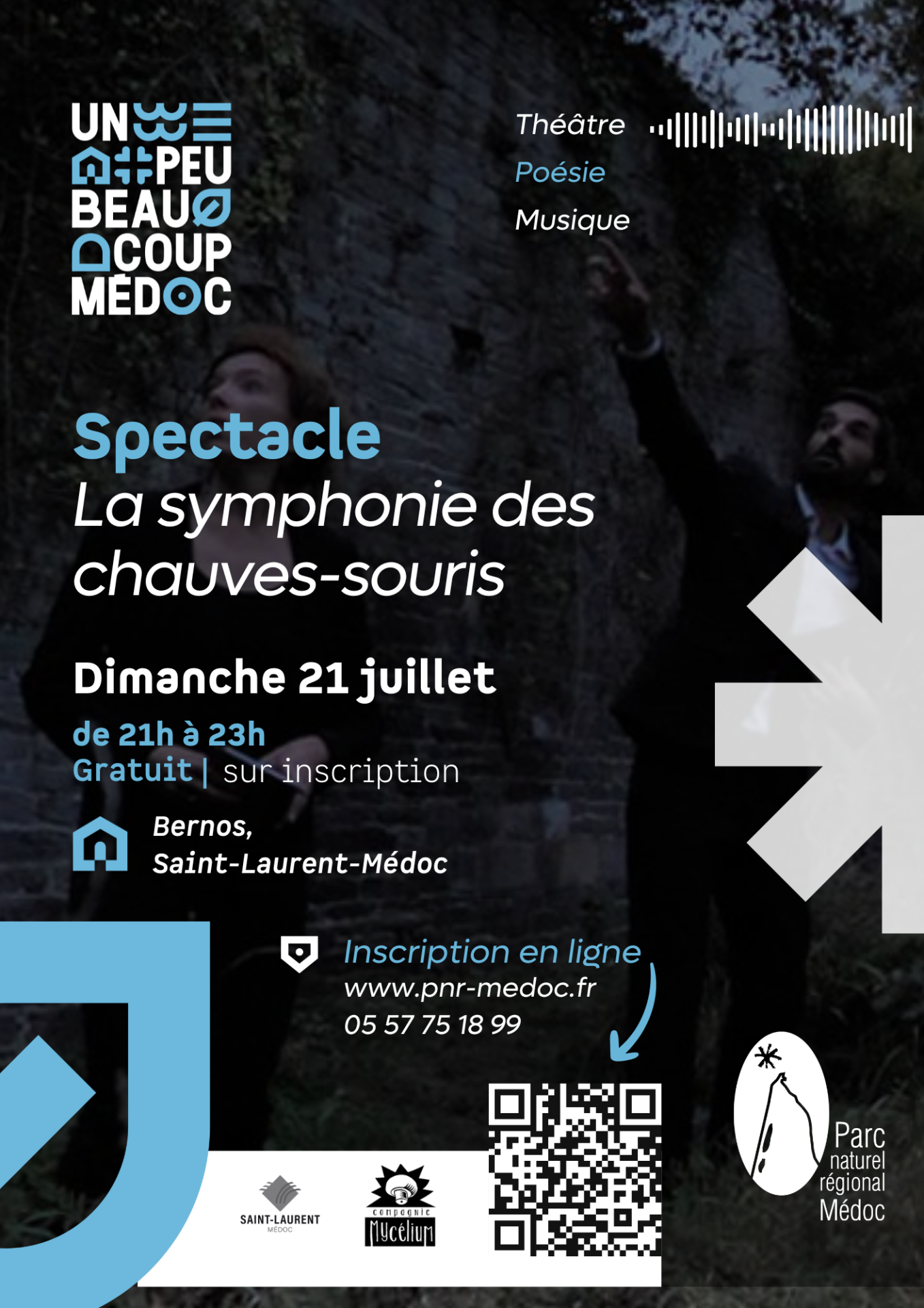 Spectacle la symphonie des chauves souris 210 x 297 mm